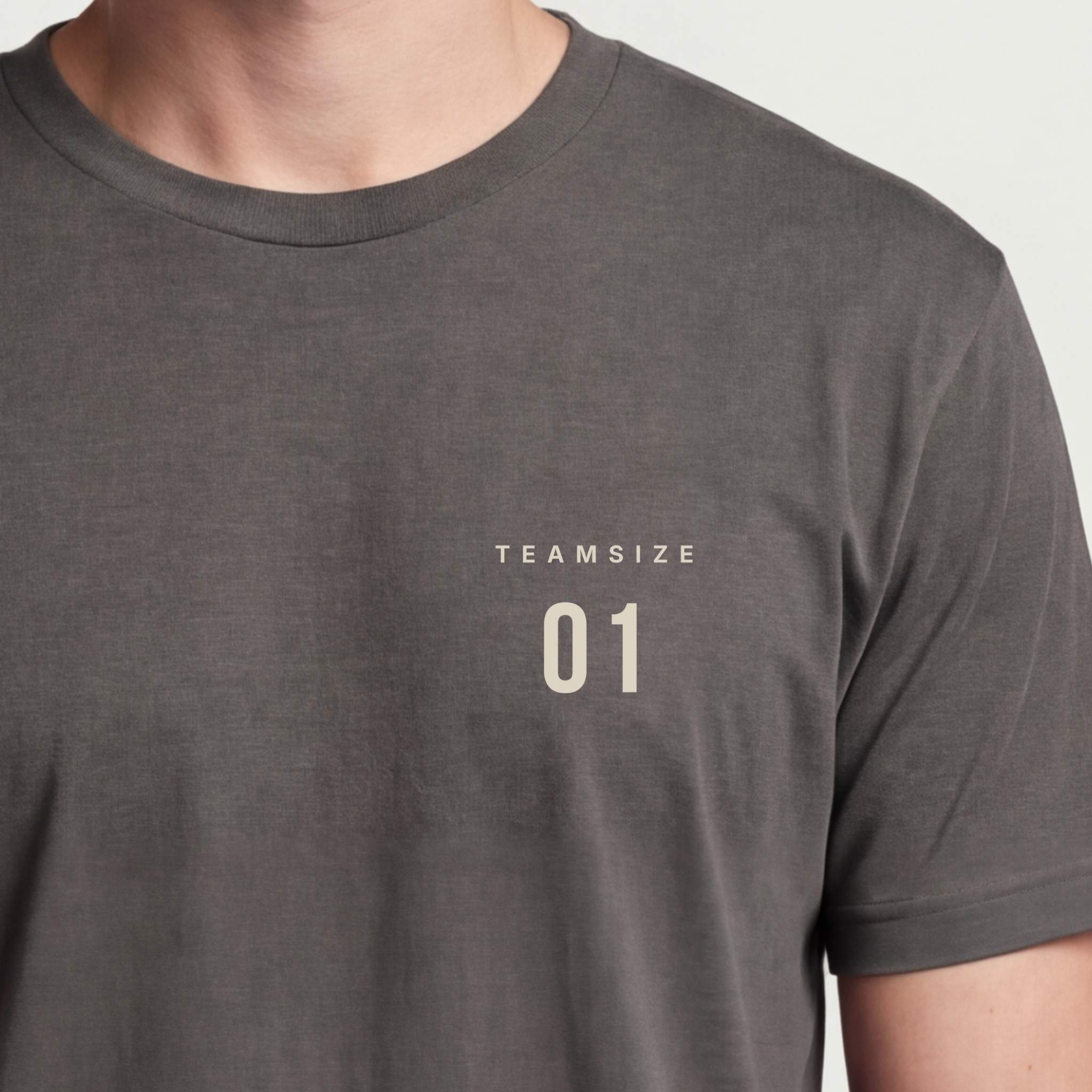 Team Size One | Chief Everything Officer Tee